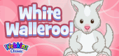 white_walleroo_feature