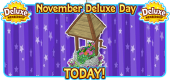 11 November 2023 Deluxe Day TODAY FEATURE