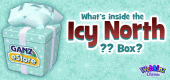 icy_north_box_feature