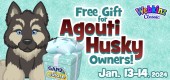 agouti_husky_feature