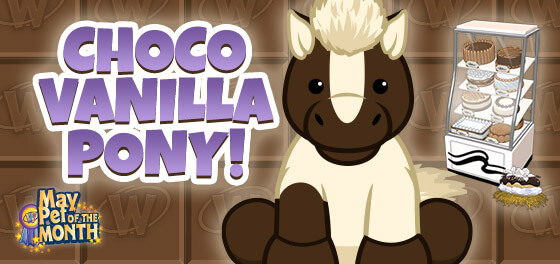 Adopt a Choco Vanilla Pony In May!