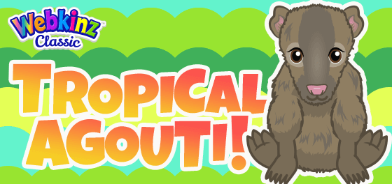 The Tropical Agouti has arrived in Webkinz World!