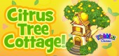 citrus_tree_cottage_feature