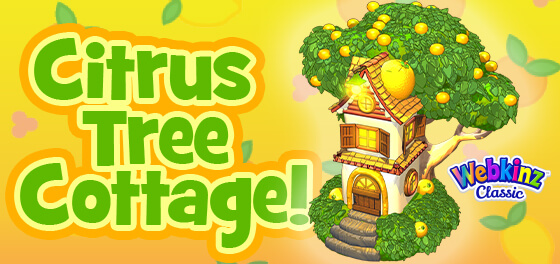 The Citrus Tree Cottage is the latest Kinz Cottage!