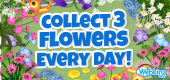 flower collection feature