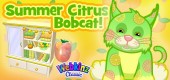 summer_citrus_bobcat_feature
