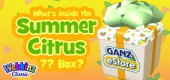 summer_citrus_box_feature