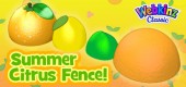 summer_citrus_fence_feature