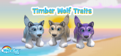 timberwolffeature