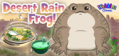 desert_rain_frog_feature