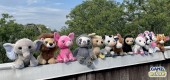 Plush Group Photo_Feature