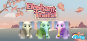 elephanttraits-feature