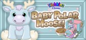 baby_polar_moose_feature