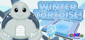 winter_tortoise_feature