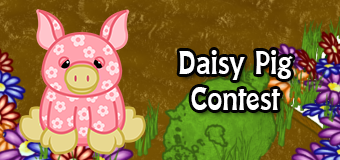 daisypigcontest