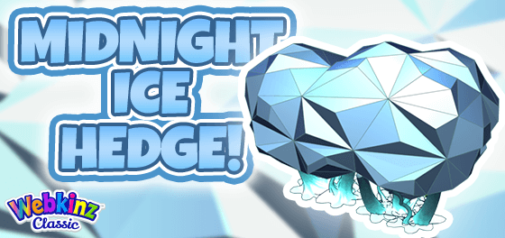 The Midnight Ice Hedge is a Perfect Companion!