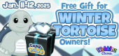 winter_tortoise_feature_gift