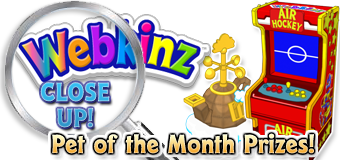 WEBKINZ CLOSE UP - POTM1 - Featured