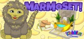 Marmoset_feature