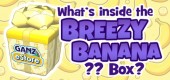 breezy_banana_box_feature