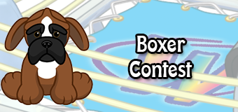 boxer contest boxer contest