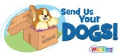 dogvideo_feature2 dogvideo_feature2