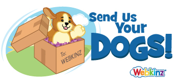 dogvideo_feature2