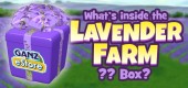 lavender_farm_box_feature