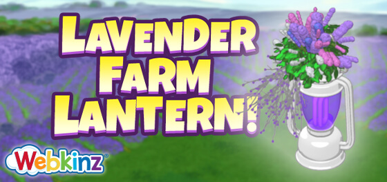 lavender_farm_lantern_Feature