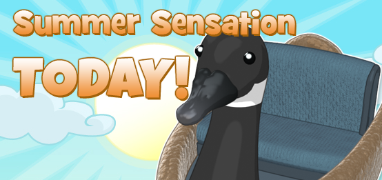 2025 Summer Sensation TODAY FEATURE