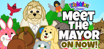 Meet the Mayor ON NOW!