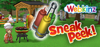 bbq_sp_Feature
