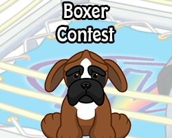 POTM Contest