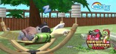 hammock_feature