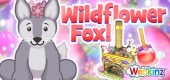 wildflower_fox_feature wildflower_fox_feature