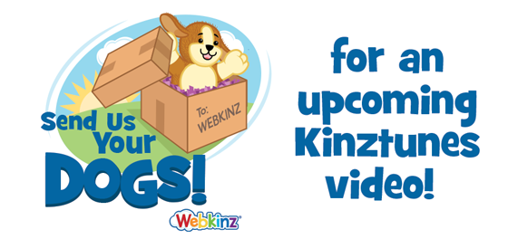 Dogvideo_feature