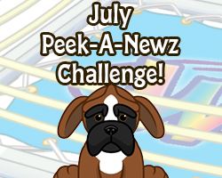 Peek-A-Newz Challenge