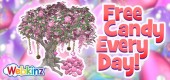 pink_chocolate_dots_tree_featrue