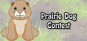 prairie dogcontest