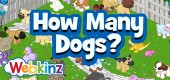 DOG_DAY_Feature DOG_DAY_Feature