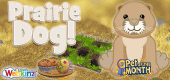 POTM-September-2025-feature