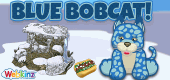 `feat-Blue-Bobcat-feature