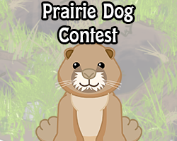 POTM Contest