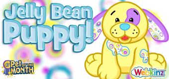 Adopt a Jelly Bean Puppy in October!