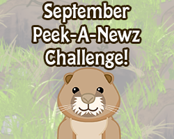 Peek-A-Newz Challenge