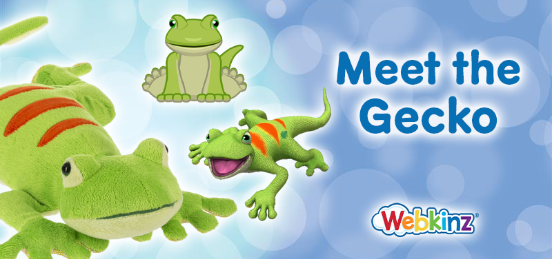 Gecko_feature
