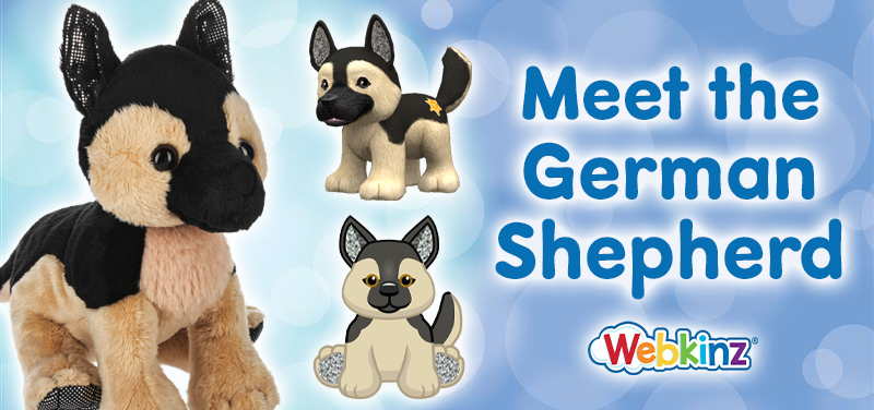 German Shepherd_feature