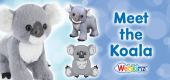 Koala_feature