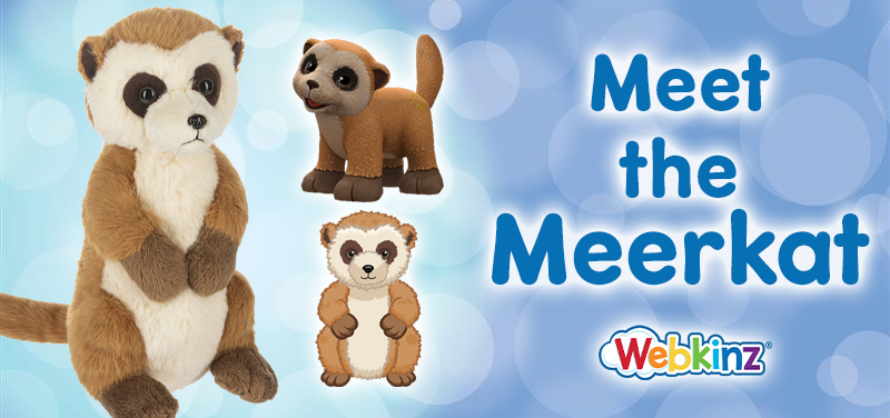 Meet the Pet_Meerkat_Feature (1)