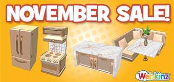 November-Sale-2025-feature